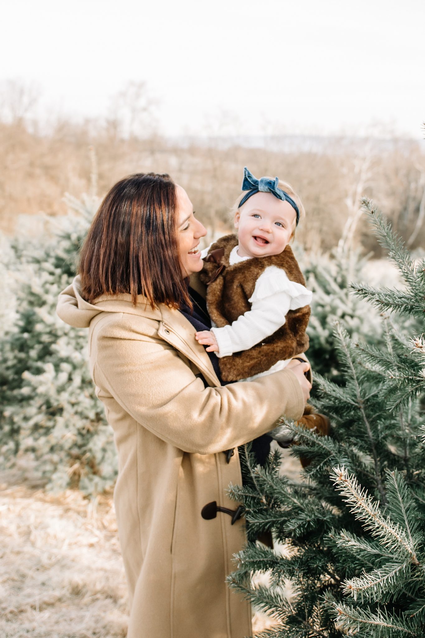 The Bouey Family at Dreamland Christmas Tree Farm 